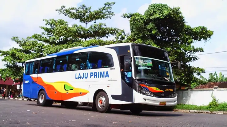 Kelas Bus Laju Prima Jambi Bandung
