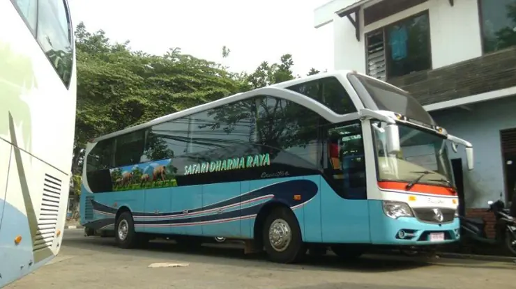 Daftar Agen Bus Safari Dharma Raya Terdekat