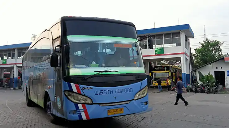 Rute Populer Bus Wisata Komodo Bali